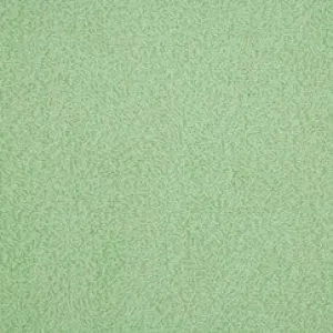 Terrycloth - Light Green